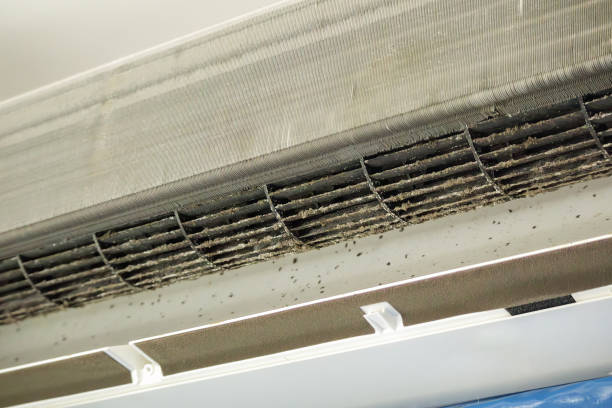 Best Local Air Duct Cleaning Services  in Pelham, AL